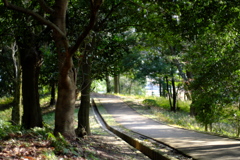 明日香村 大字豊浦 甘樫丘 明日香村 大字豊浦 甘樫丘