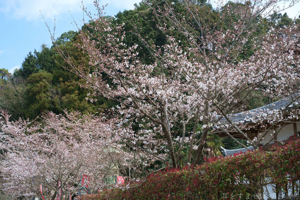 明日香村　大字岡