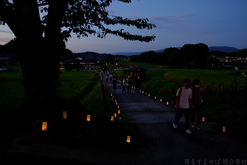 明日香村　大字橘　橘寺（ 飛鳥光りの回廊2022 )