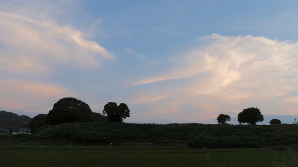 明日香村 岡 （ 川原寺跡付近 ）