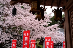 明日香村　大字岡　岡本寺