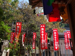 明日香村 岡（ 岡本寺 ） 