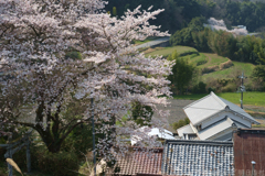 明日香村 大字稲渕 明日香村 大字稲渕