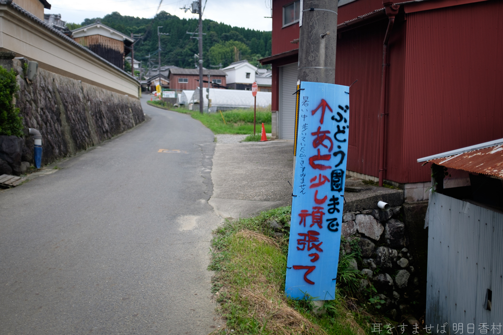 明日香村　大字平田