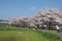 明日香村　大字川原