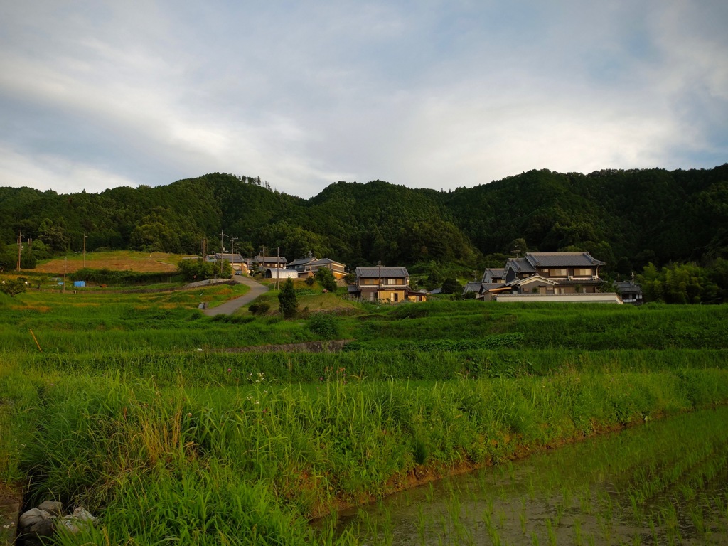 明日香村 阪田