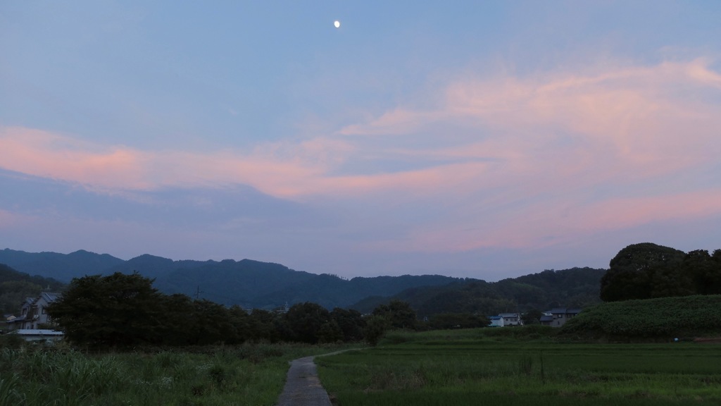 明日香村 岡 （ 川原寺跡付近 ）