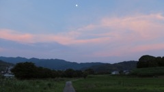 明日香村 岡 ( 川原寺跡付近 ) 明日香村 岡 ( 川原寺跡付近 )