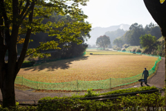 明日香村　大字豊浦（ 国営飛鳥歴史公園　高松塚周辺地区 ）