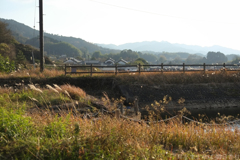 明日香村　大字橘