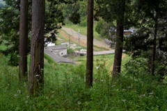 明日香村　大字大根田