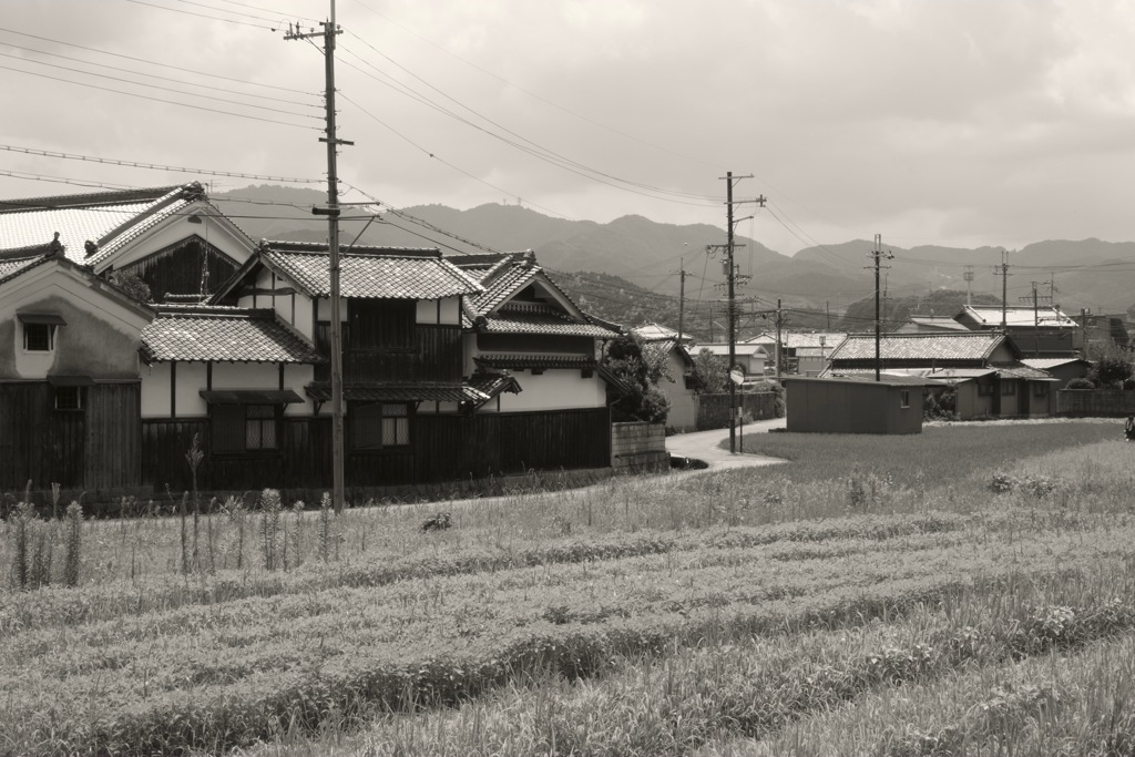 明日香村 真弓