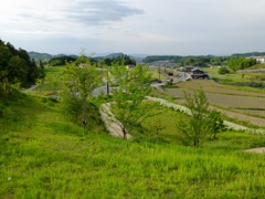明日香村 大字大根田 明日香村 大字大根田