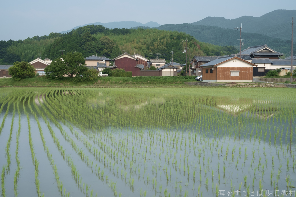 明日香村　大字奥山