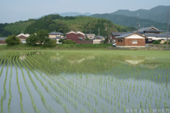 明日香村　大字奥山