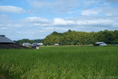明日香村　大字岡
