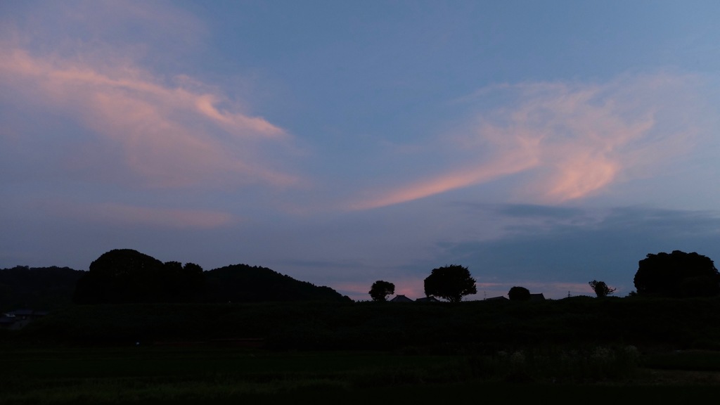 明日香村 岡 （ 川原寺跡付近 ）