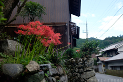 明日香村　大字稲渕