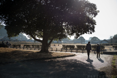 明日香村　大字岡（ 飛鳥京跡 ）
