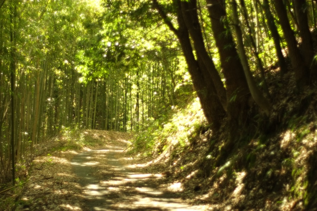 明日香村　大字畑