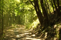 明日香村 大字畑 明日香村 大字畑