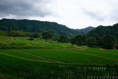 明日香村　大字島庄