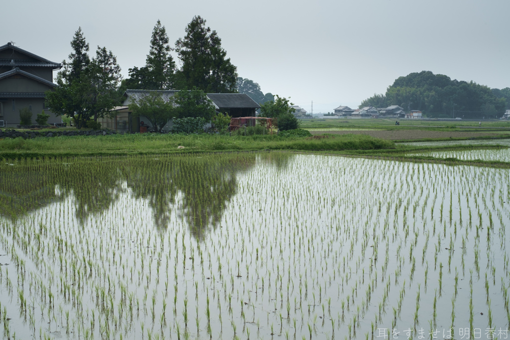 明日香村　大字奥山