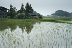明日香村　大字奥山