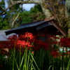 明日香村　大字檜前（ 檜前寺跡 ）