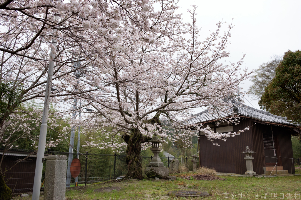 御所市 鳥井戸　妙相寺