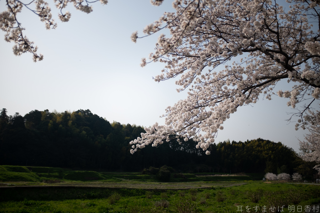 明日香村　大字川原