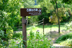 明日香村　大字祝戸（ 国営飛鳥歴史公園　石舞台地区 ）