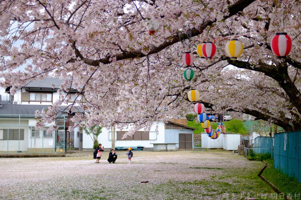 橿原市　菖蒲町