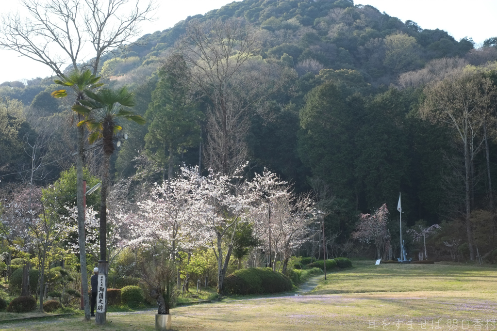 橿原市　若桜友苑