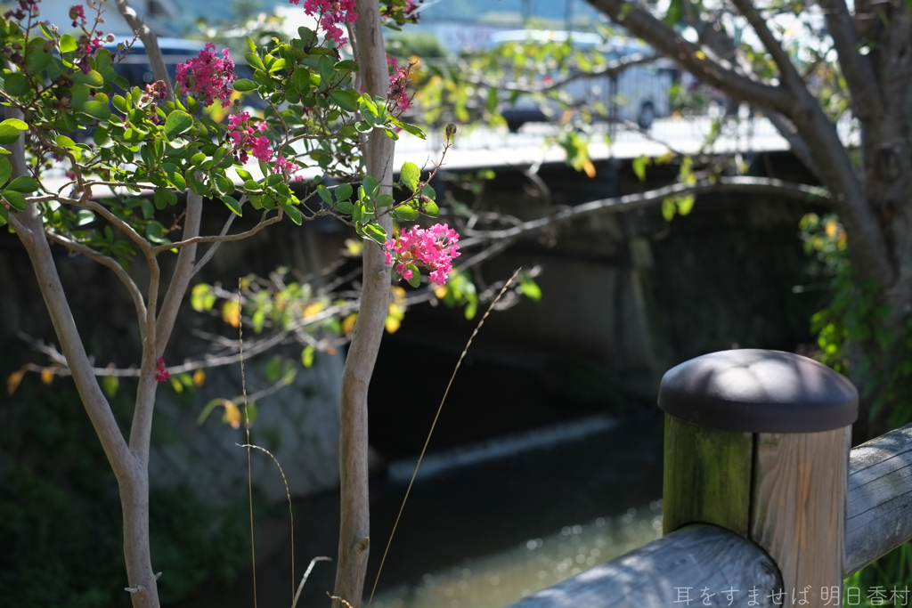 明日香村　大字越