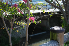 明日香村　大字越