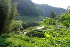明日香村 大字祝戸 明日香村 大字祝戸