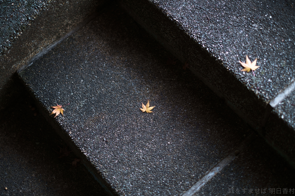 明日香村　大字川原