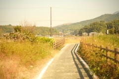 明日香村 大字豊浦( 甘樫丘付近 ) 明日香村 大字豊浦( 甘樫丘付近 )