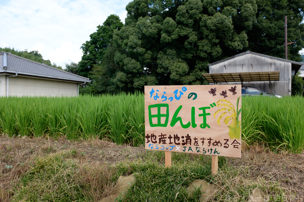 明日香村　大字橘