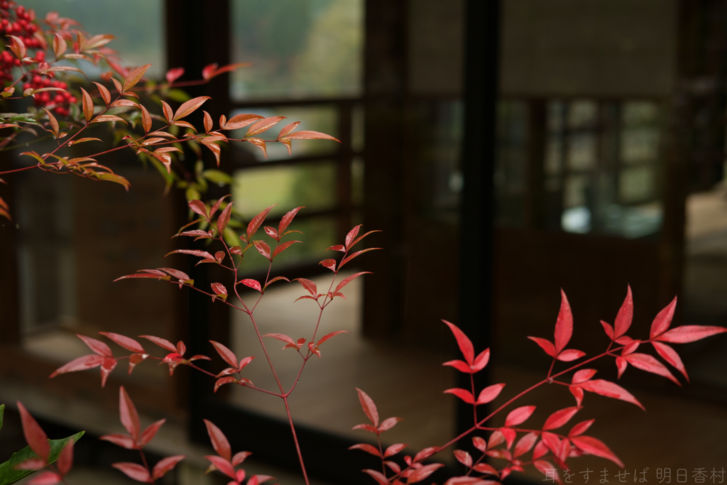 奈良県桜井市　聖林寺