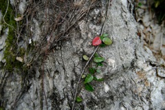 明日香村 大字檜前 明日香村 大字檜前