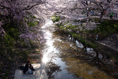 奈良県奈良市　佐保川沿い