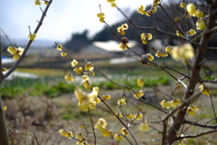 明日香村 大字豊浦 明日香村 大字豊浦