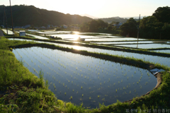 明日香村 大字阪田 明日香村 大字阪田