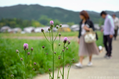 明日香村　大字飛鳥