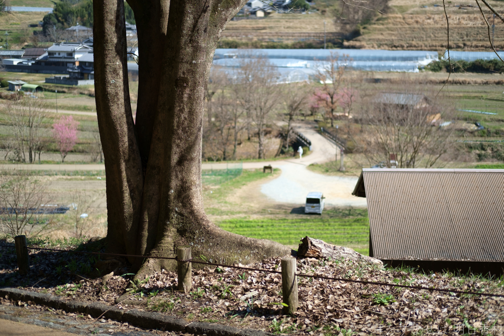 明日香村　大字稲渕