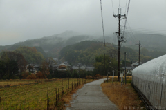 明日香村　大字橘