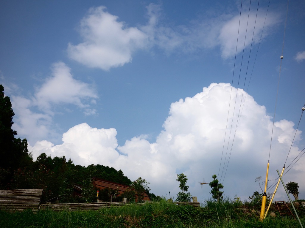 明日香村 尾曽（ おおそ ）