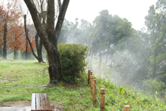 明日香村 大字平田